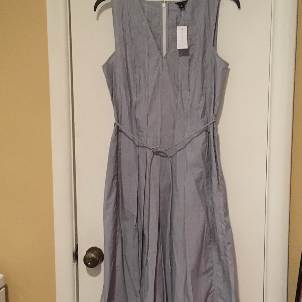 NWT Ann Taylor dress